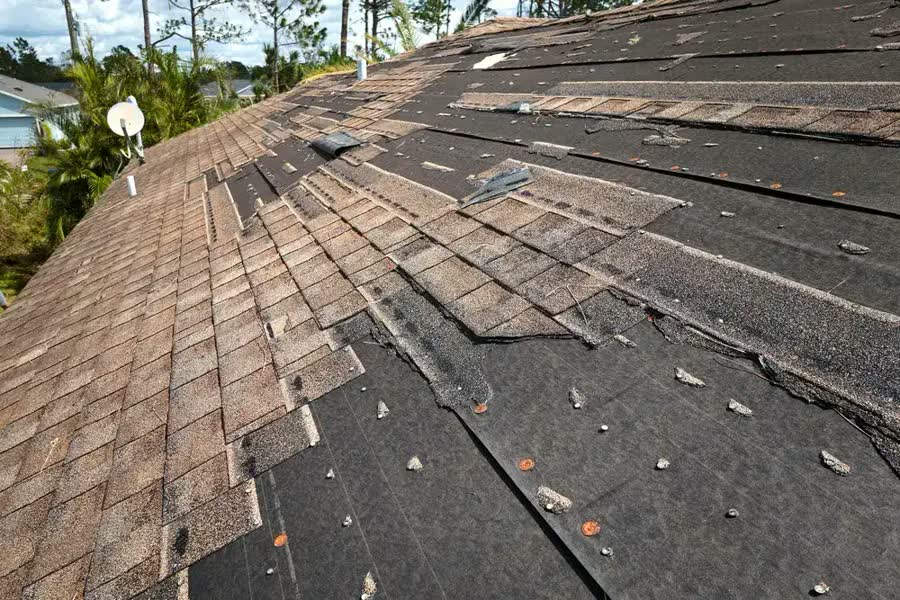 Shingles torn away from a storm-damaged roof, with the underlayment exposed