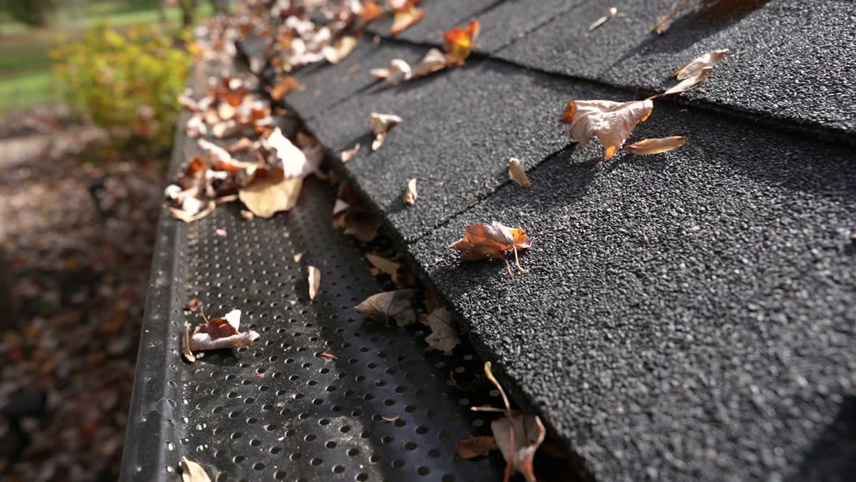 Fall leaves collecting along a roof edge and gutter