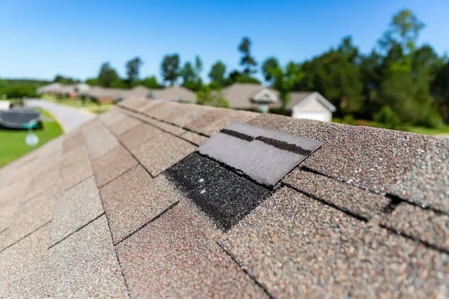 A loose shingle lifting on a brown shingle roof