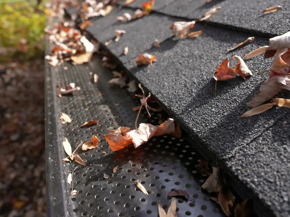Perforated gutter guard along a shingle roof edge, with leaves resting on top