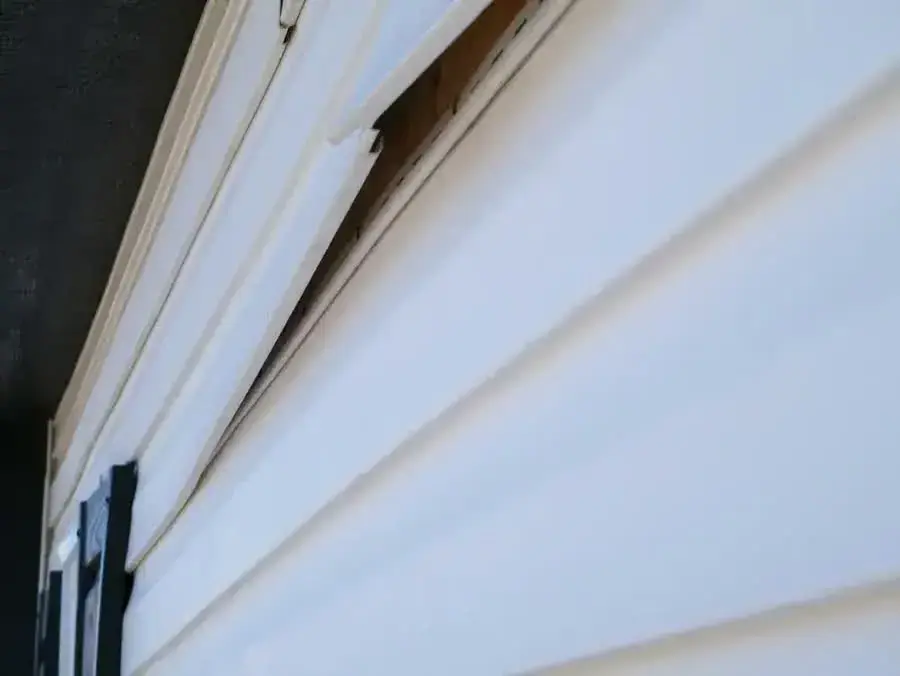 A panel of white vinyl siding pulled away from the wall